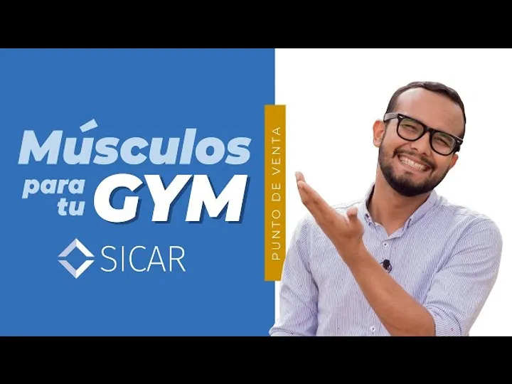 ¿Cómo funciona el sistema para gimnasios?